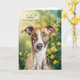 Tarjeta Perro Galgo Flores Amarillas Pequeñas Mejora