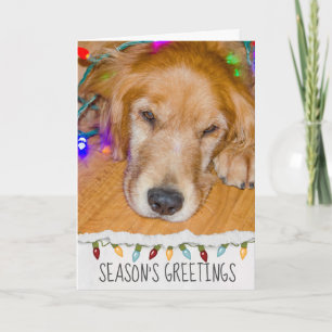 Tarjeta Perro Golden Retriever con luces de Navidad