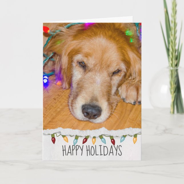 Tarjeta Perro Golden Retriever con luces de Navidad (Anverso)