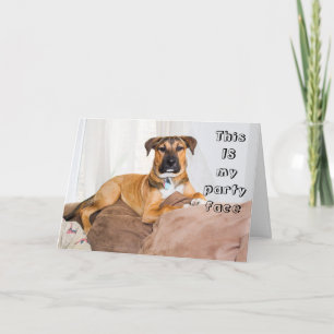 Tarjeta Perro gracioso este es mi Fiesta facial cumpleaños