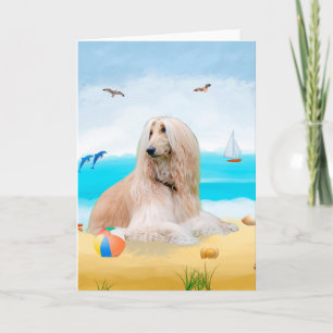 Tarjeta Perro hacinado afgano en la playa