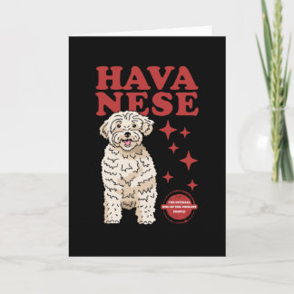 Tarjeta Perro Havanés De Los Más Coolados | Havaneses