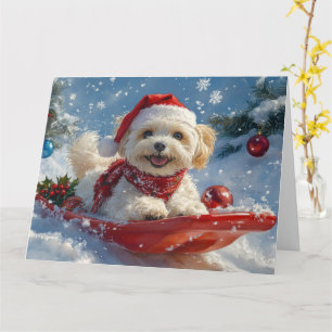 Tarjeta Perro Havanés en Trineo Deja que Nieve Navidad