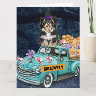 Tarjeta Perro Havanés Halloween Camión Noche Espeluznante