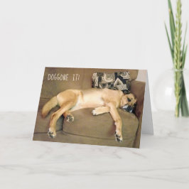 Tarjeta Perro holgazán perrito en el sofá