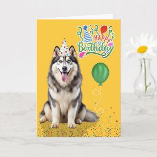 Tarjeta Perro Husky con sombrero de fiesta en cumpleaños a