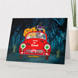 Tarjeta Perro Husky Siberiano Conduciendo Coche Espeluznan