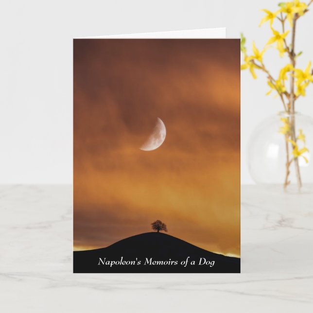 Tarjeta Perro inspira a Napoleón tras la batalla de Bassan (flor amarilla)