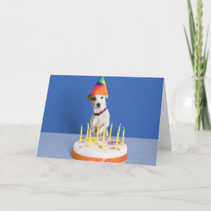 Tarjeta Perro Jack Russell Terrier con sombrero de fiesta
