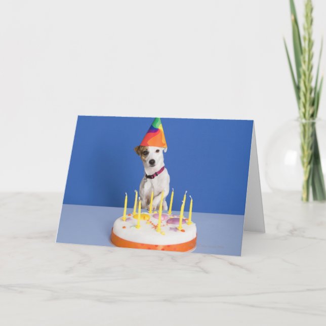 Tarjeta Perro Jack Russell Terrier con sombrero de fiesta (Anverso)