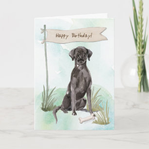 Tarjeta Perro Labrador Negro Bajo Letrero de Cumpleaños