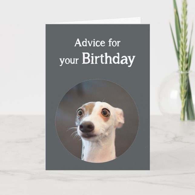 Tarjeta Perro lindo del humor del cumpleaños demasiado (Anverso)
