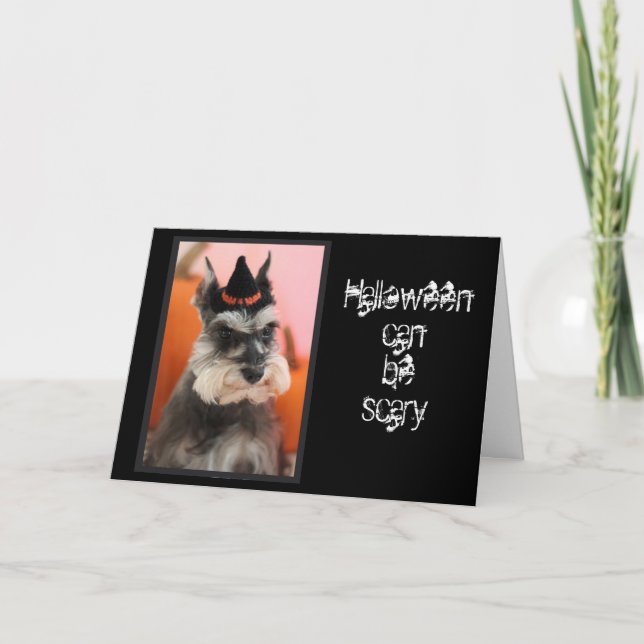 Tarjeta Perro lindo del Schnauzer del feliz Halloween de (Anverso)