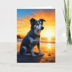 Tarjeta Perro lindo en la playa al atardecer   Cumpleaños