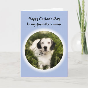 Tarjeta Perro lindo, eres mi Día de Padre Humano favorito