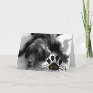 Tarjeta Perro lindo se pone bien para el amante de las mas