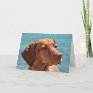 Tarjeta Perro Magyar Vizsla