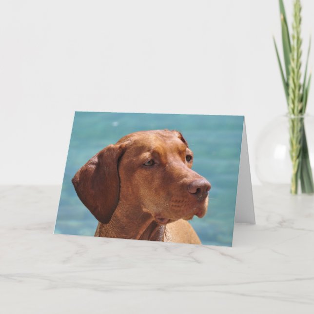 Tarjeta Perro Magyar Vizsla (Anverso)