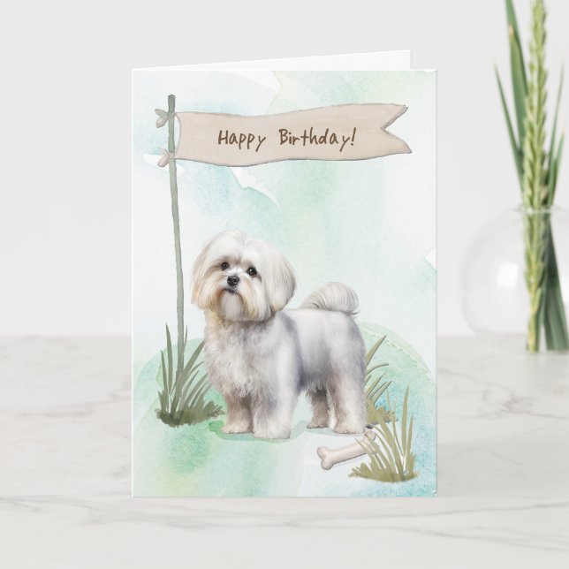 Tarjeta Perro maltés bajo Rótulo de cumpleaños (Anverso)