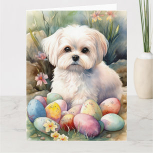 Tarjeta Perro maltés con festividad de huevos de Pascua