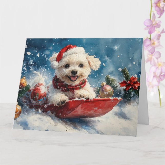 Tarjeta Perro maltés con manchas deja que nieve Navidades (Orquídea)