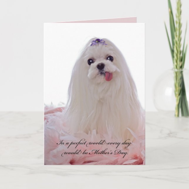 Tarjeta Perro maltés del Día de la Madre (Anverso)