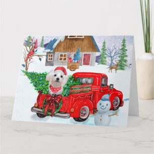 Tarjeta Perro maltés en camión de entrega de Navidad nieve