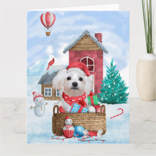 Tarjeta Perro maltés en casa de Navidad con nieve