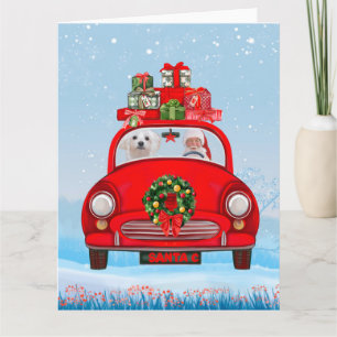 Tarjeta Perro maltés en coche con Papá Noel