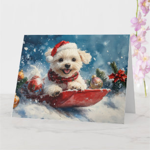 Tarjeta Perro maltés en trineo Deja que nieve Navidad