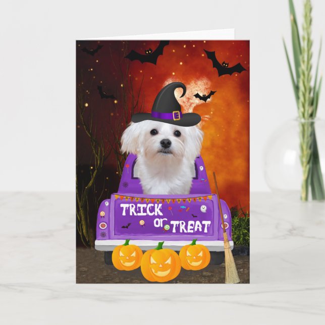 Tarjeta Perro maltés en un camión de Halloween (Anverso)