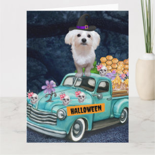 Tarjeta Perro Maltés Halloween Camión Noche Espeluznante