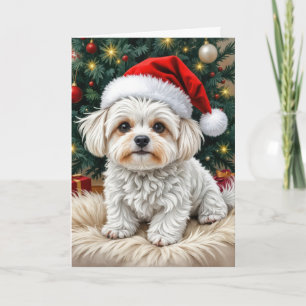 Tarjeta Perro maltés navidad en una almohada azul