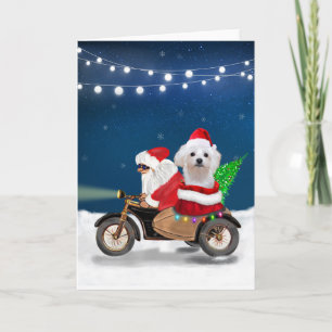 Tarjeta Perro maltés Navidad Santa Claus