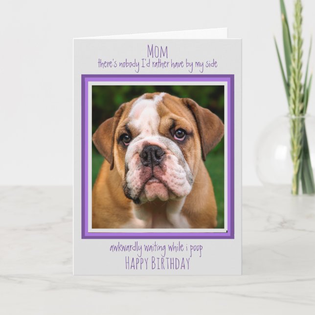 Tarjeta Perro Mamá divertida feliz cumpleaños lindo perro  (Anverso)