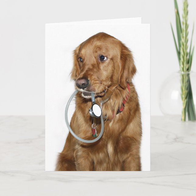 Tarjeta Perro médico (Anverso)