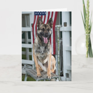 Tarjeta perro militar