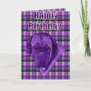 Tarjeta Perro morado Tartán Dogue De Bordeaux,