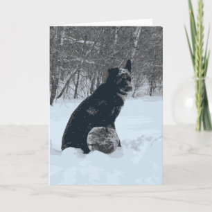 Tarjeta Perro Negro Cubierto En Invierno De Nieve