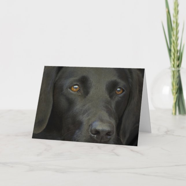 Tarjeta Perro negro del labrador (Anverso)