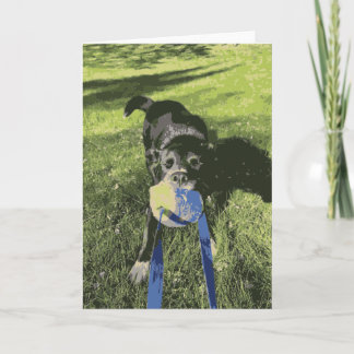 Tarjeta Perro Negro Jugando Tonto De Guerra Husky Lab Pupp