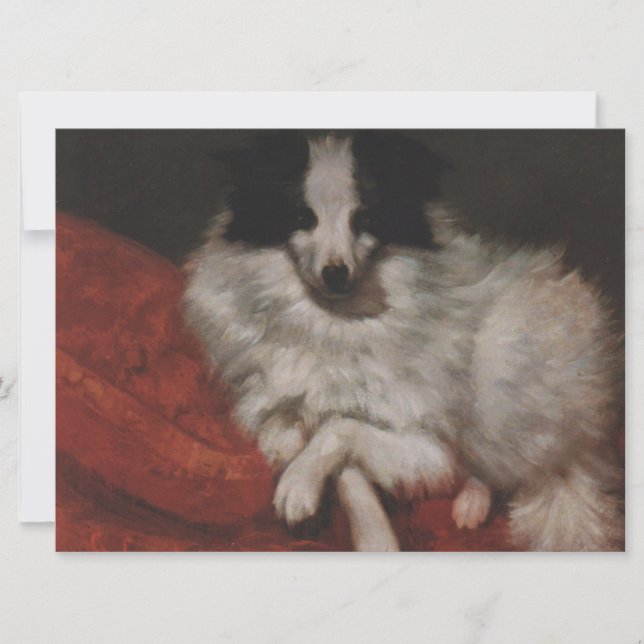 Tarjeta Perro ondulado sentado en un cojín (Gustave Courbe (Anverso)