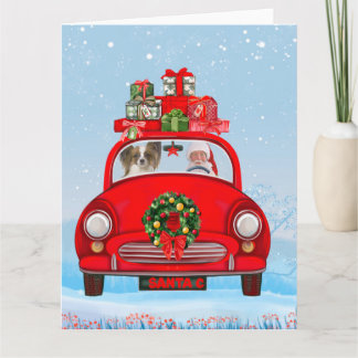 Tarjeta Perro Papillon en coche con Papá Noel