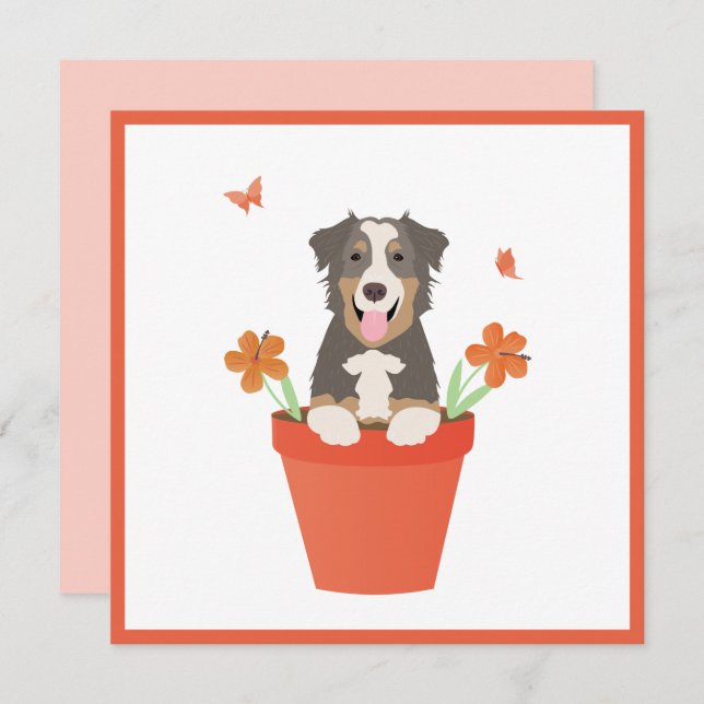 Tarjeta Perro pastor australiano en maceta de flores (Anverso / Reverso)