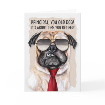 Perro picante más gracioso en jubilación de los za