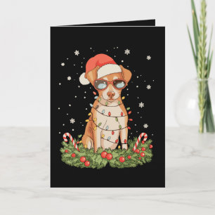 Tarjeta Perro Pinscher de Navidad Xmas Sombrero de Santa F