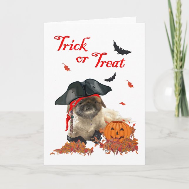 Tarjeta Perro Pirata (Anverso)