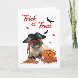 Tarjeta Perro Pirata