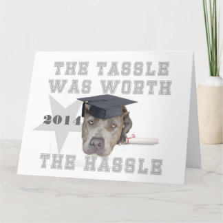 Tarjeta Perro pitbull de graduación