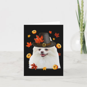 Tarjeta Perro Pomerania Divertido Sombrero de Peregrino Ot